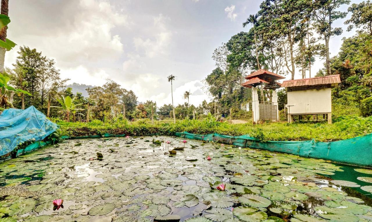 Treebo Tryst Jathika Resorts Кожикоде Экстерьер фото