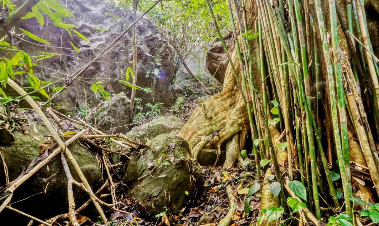 Treebo Tryst Jathika Resorts Кожикоде Экстерьер фото