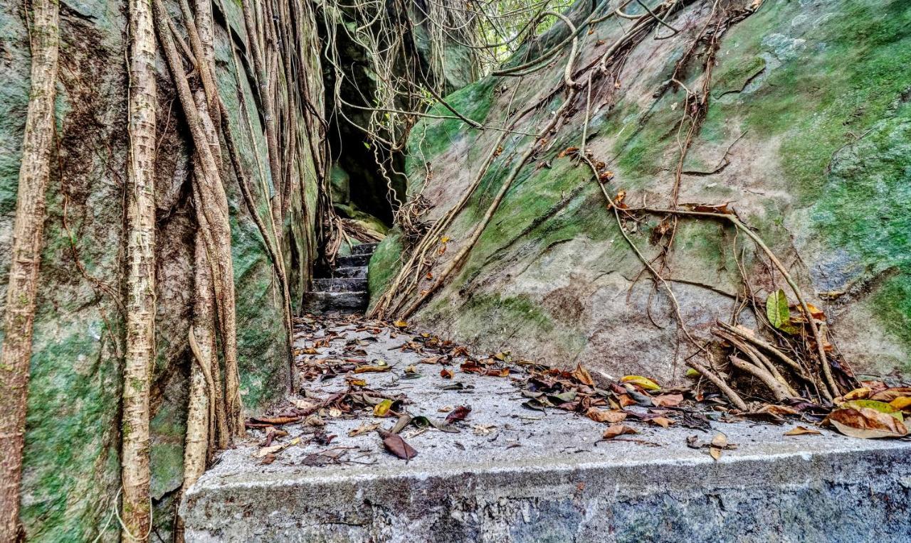 Treebo Tryst Jathika Resorts Кожикоде Экстерьер фото