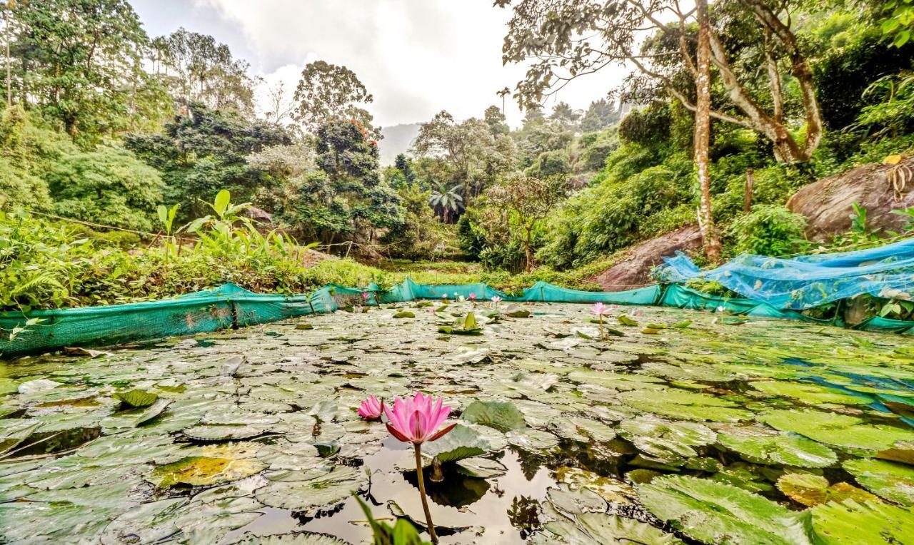 Treebo Tryst Jathika Resorts Кожикоде Экстерьер фото