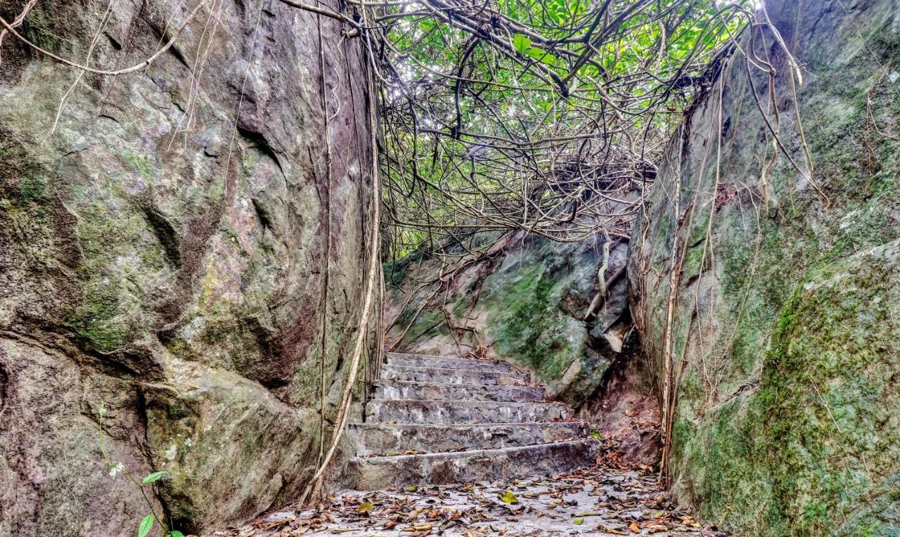 Treebo Tryst Jathika Resorts Кожикоде Экстерьер фото