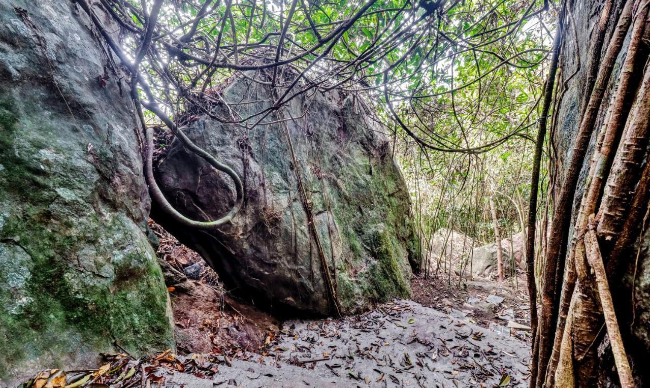 Treebo Tryst Jathika Resorts Кожикоде Экстерьер фото